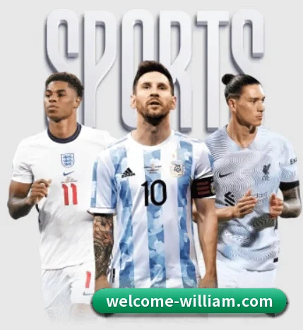 五大服务分区,信息按项目分类（williamhill）